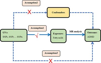Plasma fatty acids and attention deficit hyperactivity disorder: a Mendelian randomization investigation